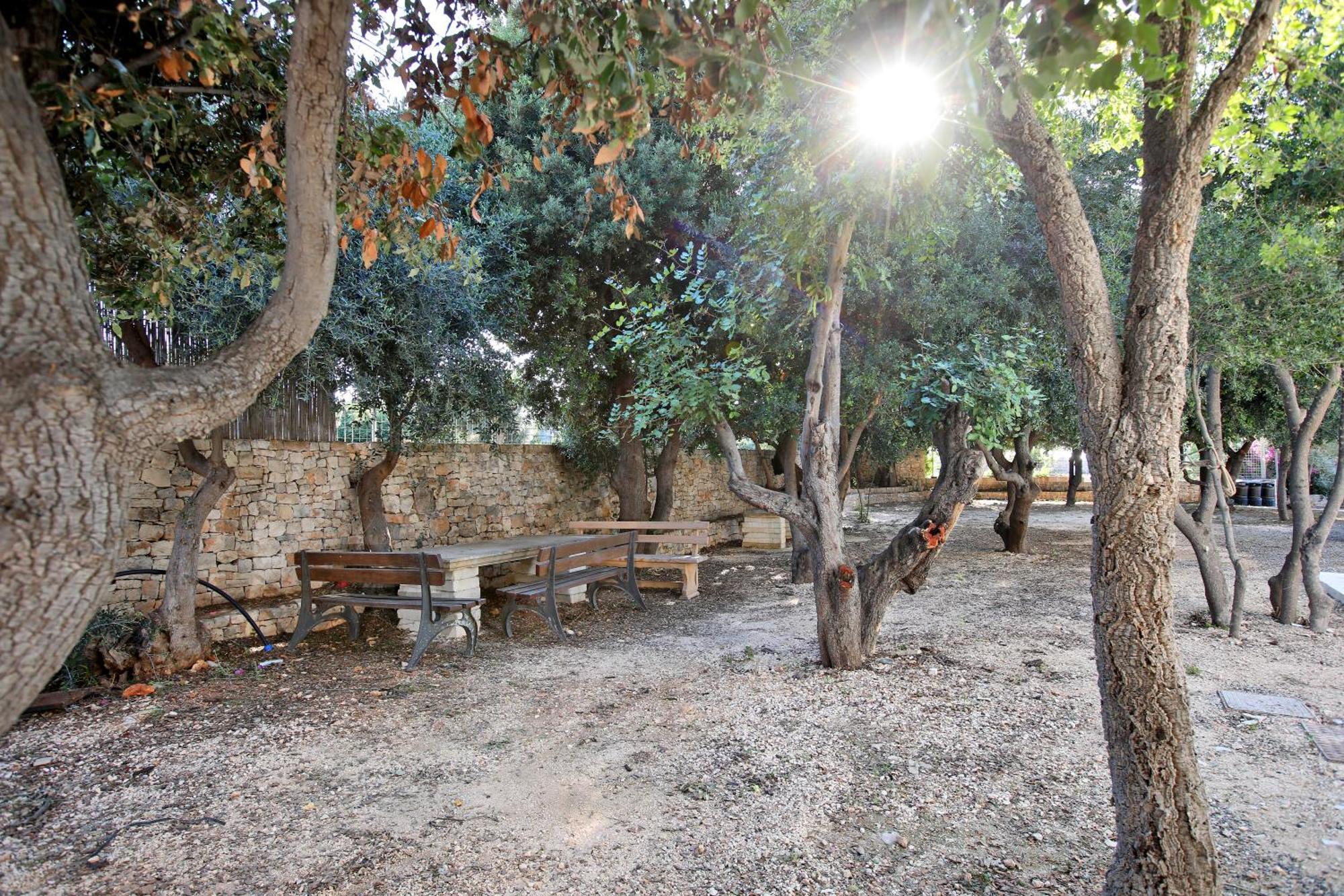 Mediterraneo Relax Поліньяно-а-Маре Екстер'єр фото